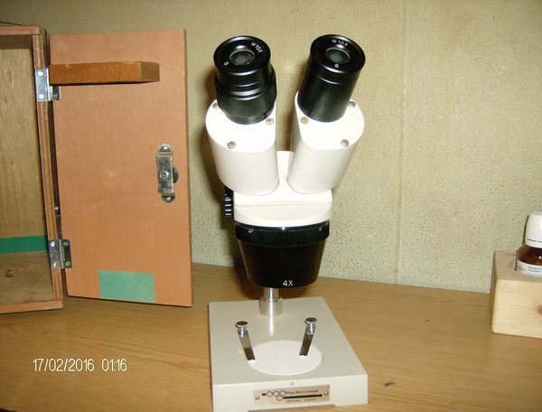 HPIM0939.JPG
