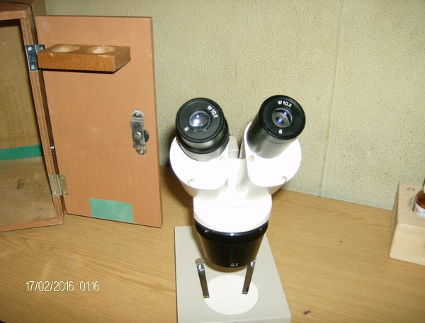 HPIM0940.JPG