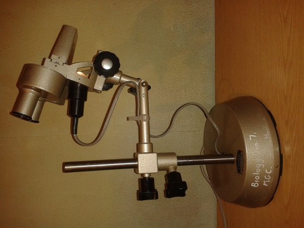 20160312_204908.jpg